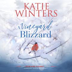 A Vineyard Blizzard by Katie Winters audiobook