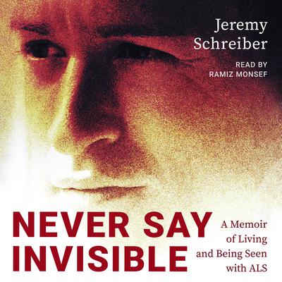 Never Say Invisible by Jeremy Schreiber audiobook