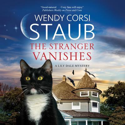 The Stranger Vanishes by Wendy Corsi Staub audiobook