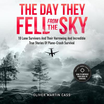 The Day They Fell From The Sky by Oliver Martin Cass audiobook