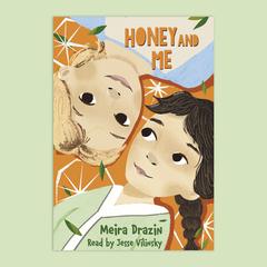 Honey and Me by Meira Drazin audiobook