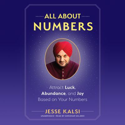 All About Numbers by Jesse Kalsi audiobook