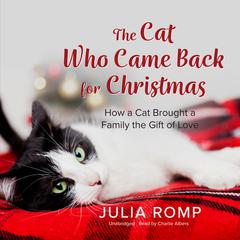 The Cat Who Came Back for Christmas by Julia Romp audiobook