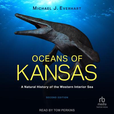 Oceans of Kansas by Michael J. Everhart audiobook