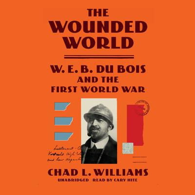 The Wounded World by Chad L. Williams audiobook