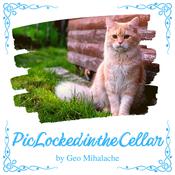 Pic Locked in the Cellar by  Geo Mihalache audiobook