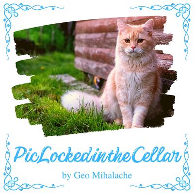 Pic Locked in the Cellar by Geo Mihalache audiobook