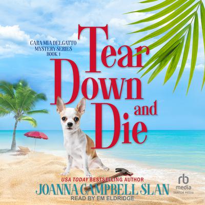Tear Down and Die by Joanna Campbell Slan audiobook