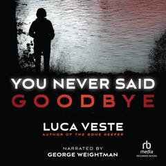 You Never Said Goodbye by Luca Veste audiobook