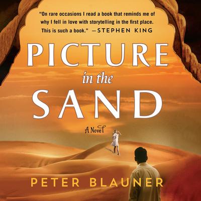Picture in the Sand by Peter Blauner audiobook