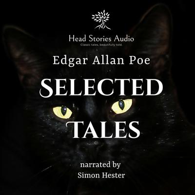 Edgar Allan Poe - Selected Tales by Edgar Allan Poe audiobook