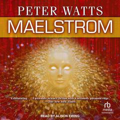 Maelstrom by Peter Watts audiobook