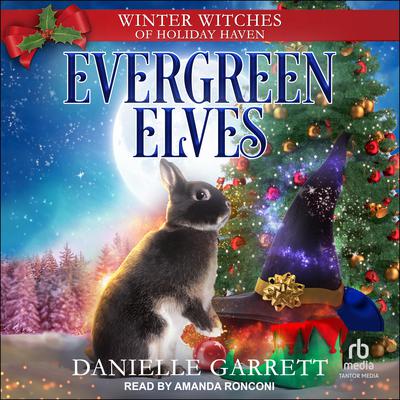 Evergreen Elves by Danielle Garrett audiobook