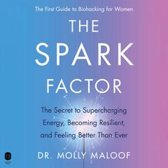 The Spark Factor by Molly Maloof audiobook