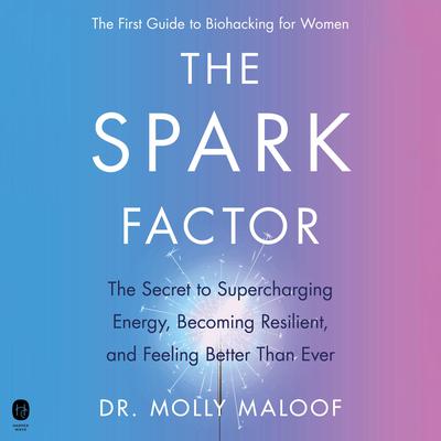 The Spark Factor by Molly Maloof audiobook