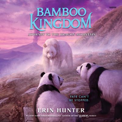 Bamboo Kingdom #3: Journey to the Dragon Mountain by Erin Hunter audiobook
