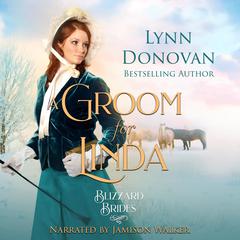 A Groom For Linda by Lynn Donovan audiobook