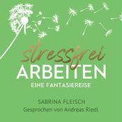 Stressfrei arbeiten by  Sabrina Fleisch audiobook