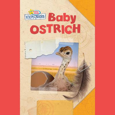 Active Minds Explorers: Baby Ostrich by Ellen Lawrence audiobook