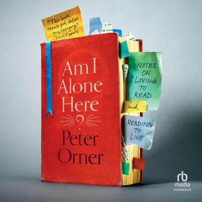 Am I Alone Here? by Peter Orner audiobook