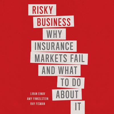 Risky Business by Liran Einav audiobook
