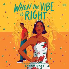 When the Vibe Is Right by Sarah Dass audiobook