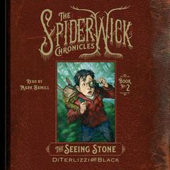 The Seeing Stone by Tony DiTerlizzi audiobook