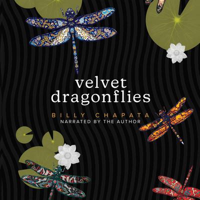 Velvet Dragonflies by Billy Chapata audiobook