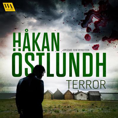 Terror by Håkan Östlundh audiobook