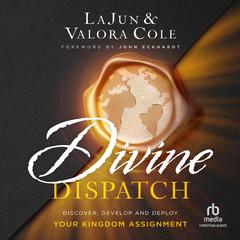 Divine Dispatch by LaJun Cole audiobook