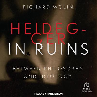 Heidegger in Ruins by Richard Wolin audiobook