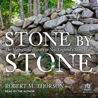 Stone by Stone by Robert M. Thorson audiobook