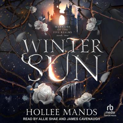 Winter Sun by Hollee Mands audiobook