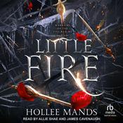Little Fire by  Hollee Mands audiobook