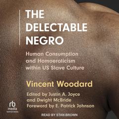 The Delectable Negro by Vincent Woodard audiobook