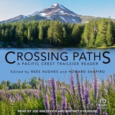 Crossing Paths by  audiobook