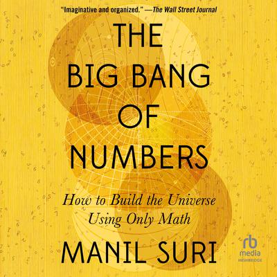 The Big Bang of Numbers by Manil Suri audiobook
