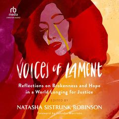 Voices of Lament by  audiobook