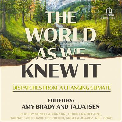 The World As We Knew It by Amy Brady audiobook