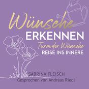 Wünsche erkennen by  Sabrina Fleisch audiobook