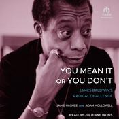 You Mean It or You Don't by  Adam Hollowell audiobook