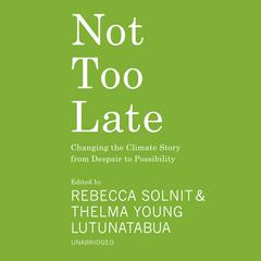 Not Too Late by various authors audiobook