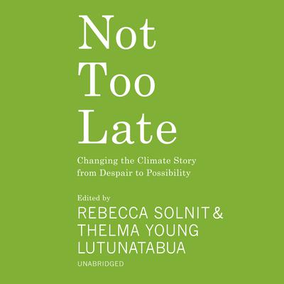 Not Too Late by various authors audiobook