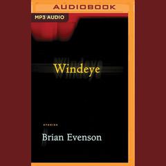 Windeye by Brian Evenson audiobook