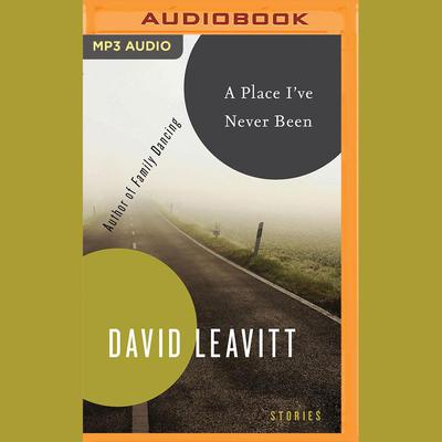 A Place I've Never Been by David Leavitt audiobook