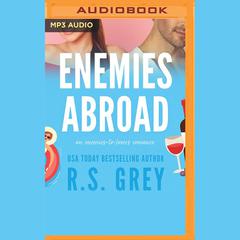 Enemies Abroad by R. S. Grey audiobook