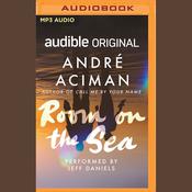 Room on the Sea by  André Aciman audiobook