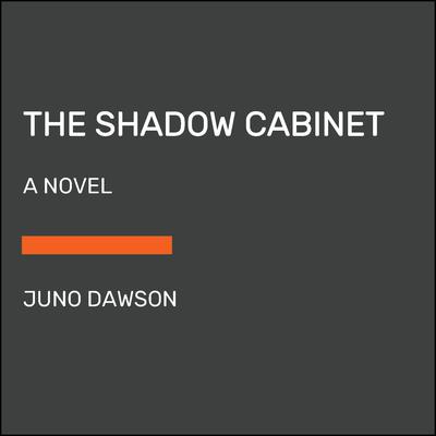 The Shadow Cabinet by Juno Dawson audiobook