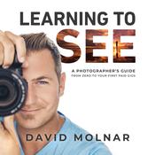 Learning To See by  David Molnar audiobook