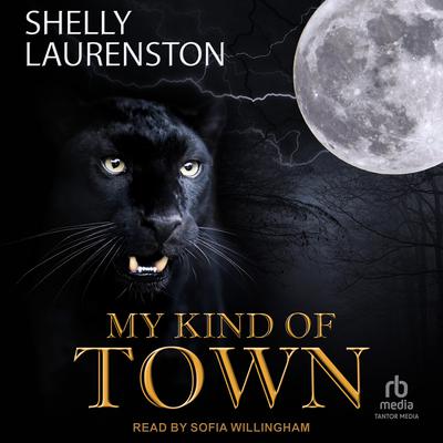 My Kind of Town by Shelly Laurenston audiobook